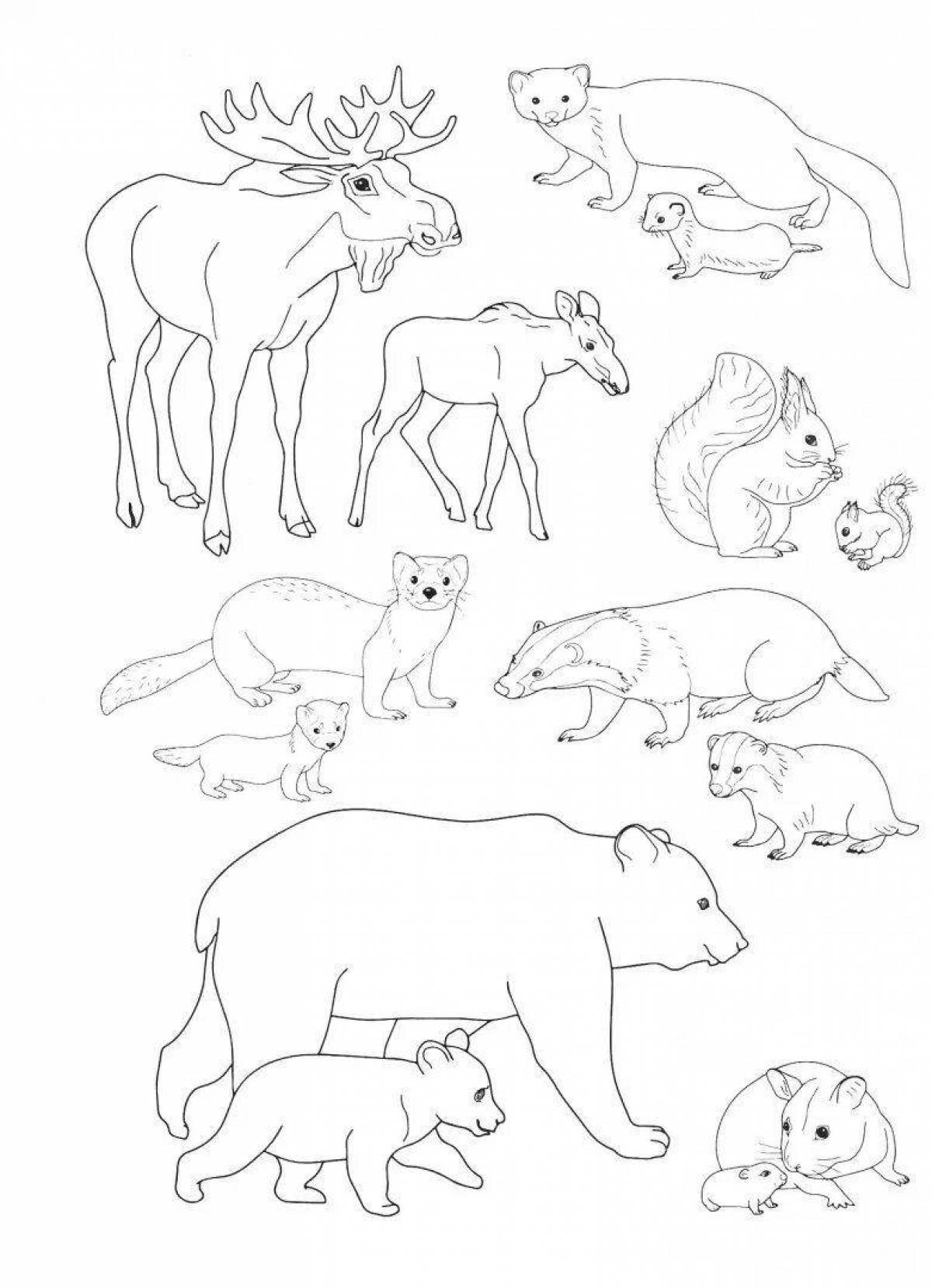 Adorable coloring book of wild animals and their babies