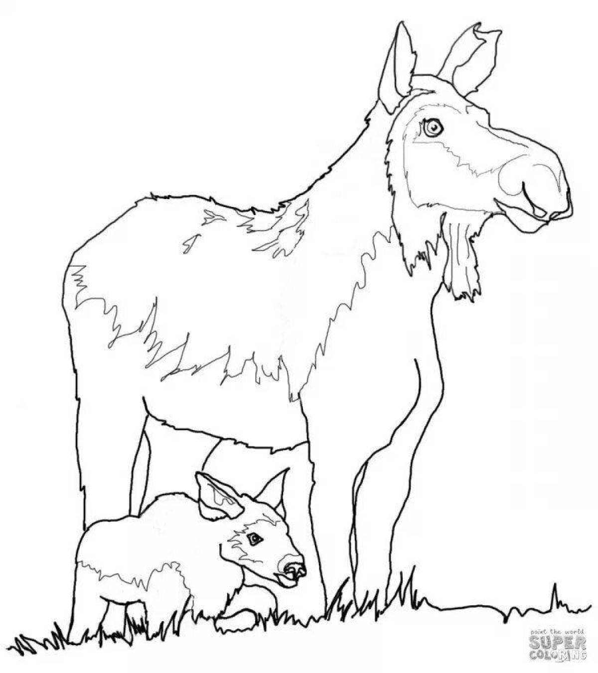 Incredible coloring of wild animals and their babies