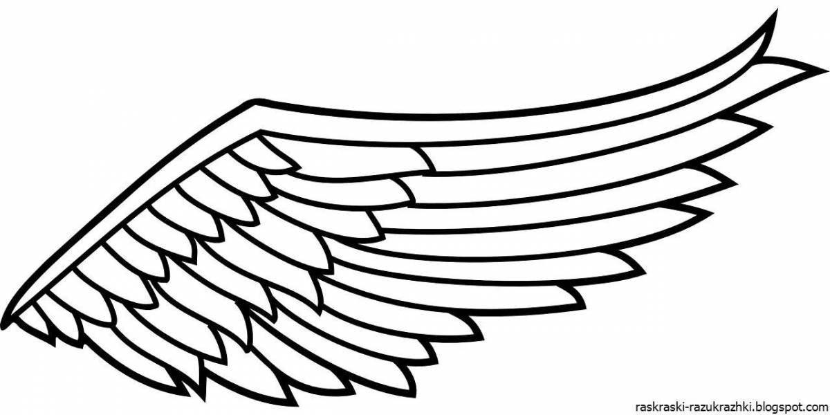 Great coloring of the wings