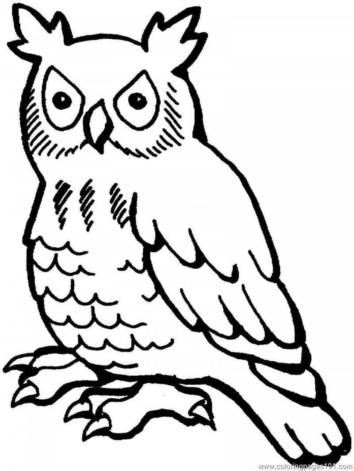Majestic owl coloring page