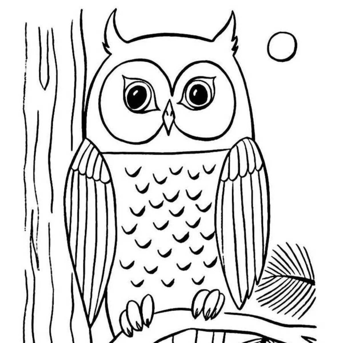 Adorable owl coloring book