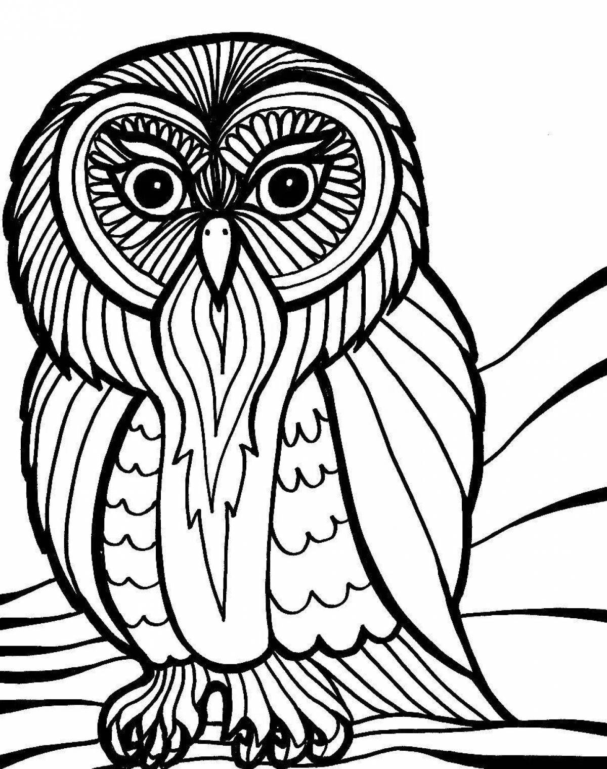 Glitter owl coloring picture