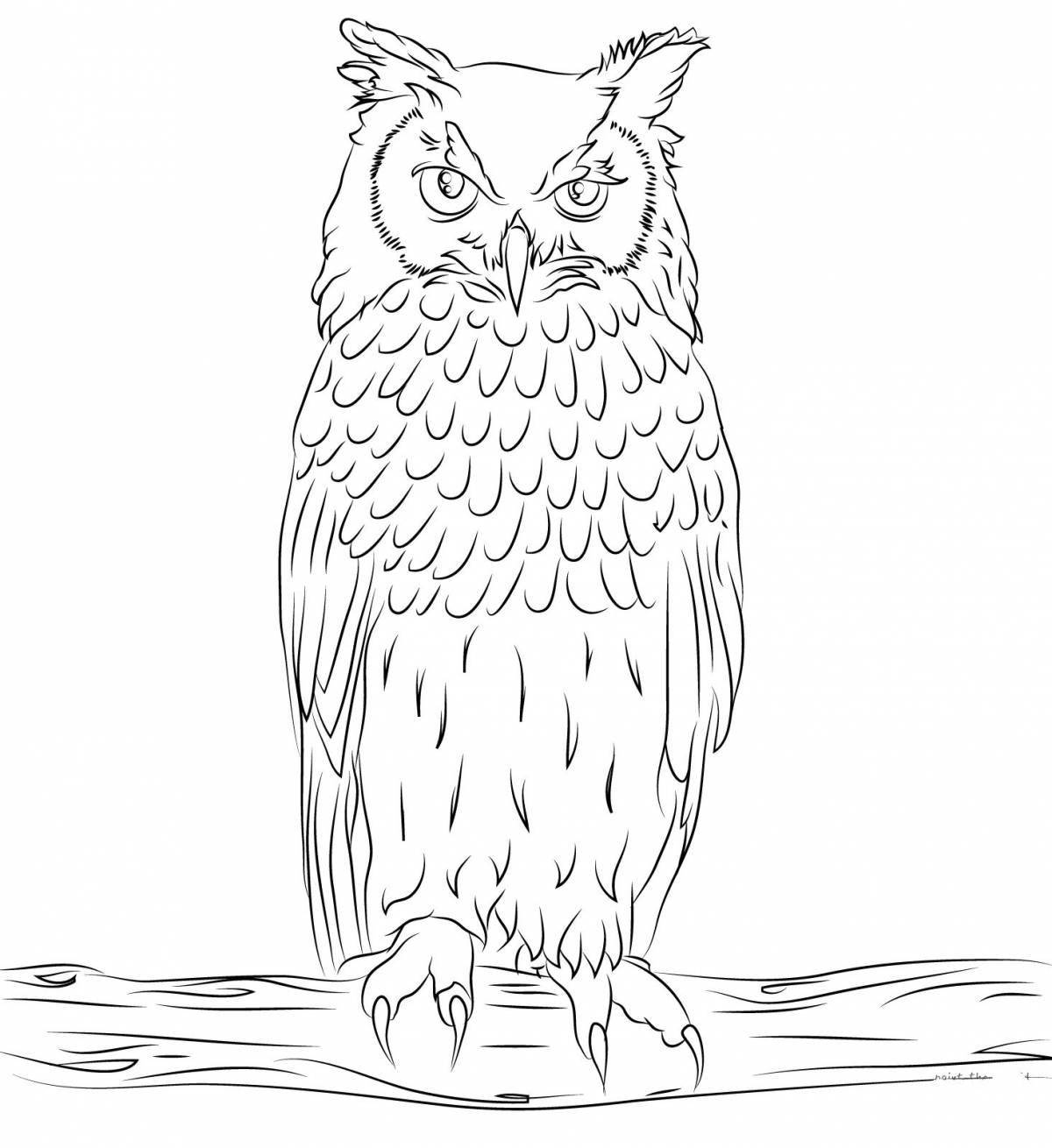 Serene owl coloring page