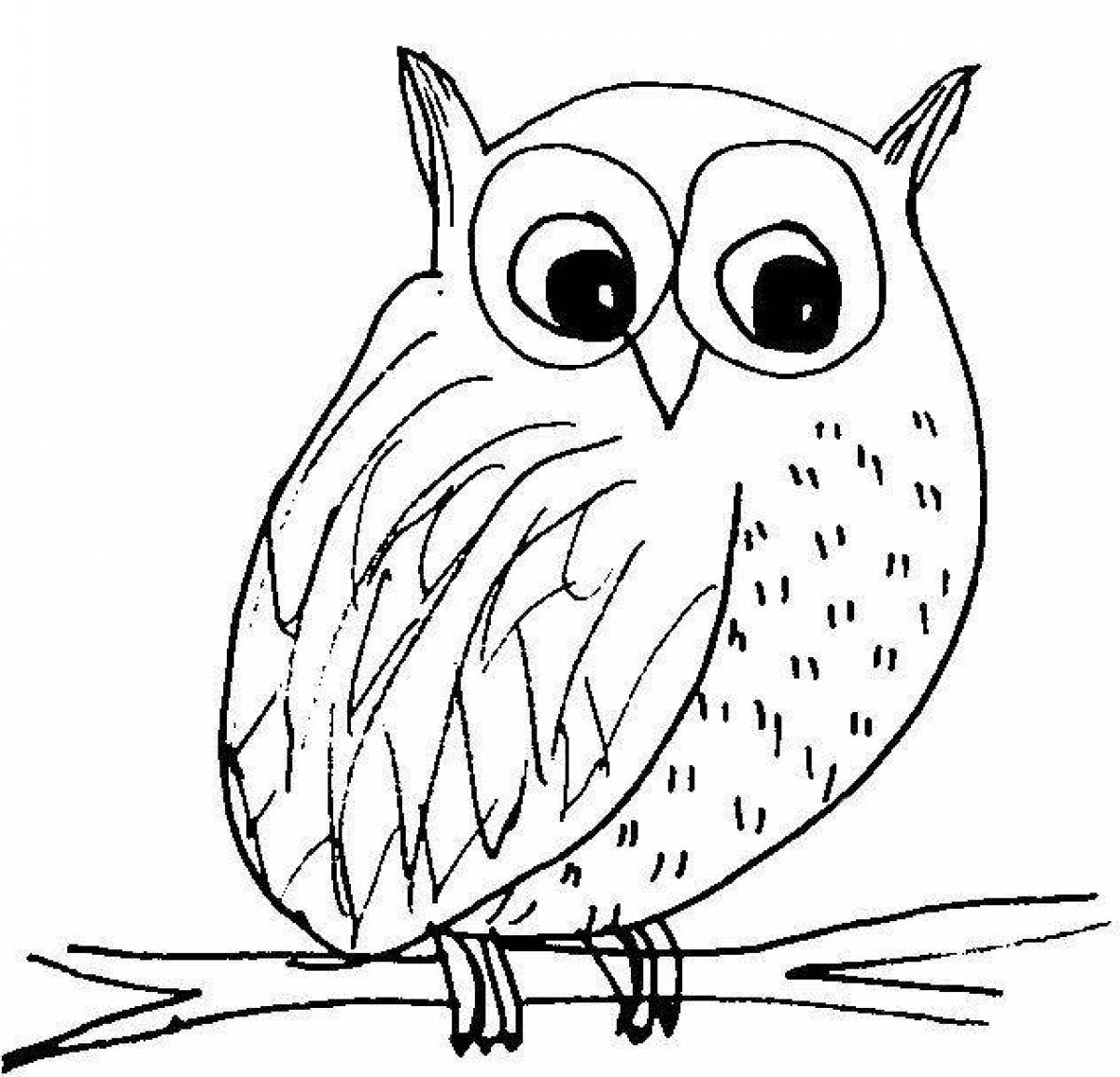 Delicate owl coloring book