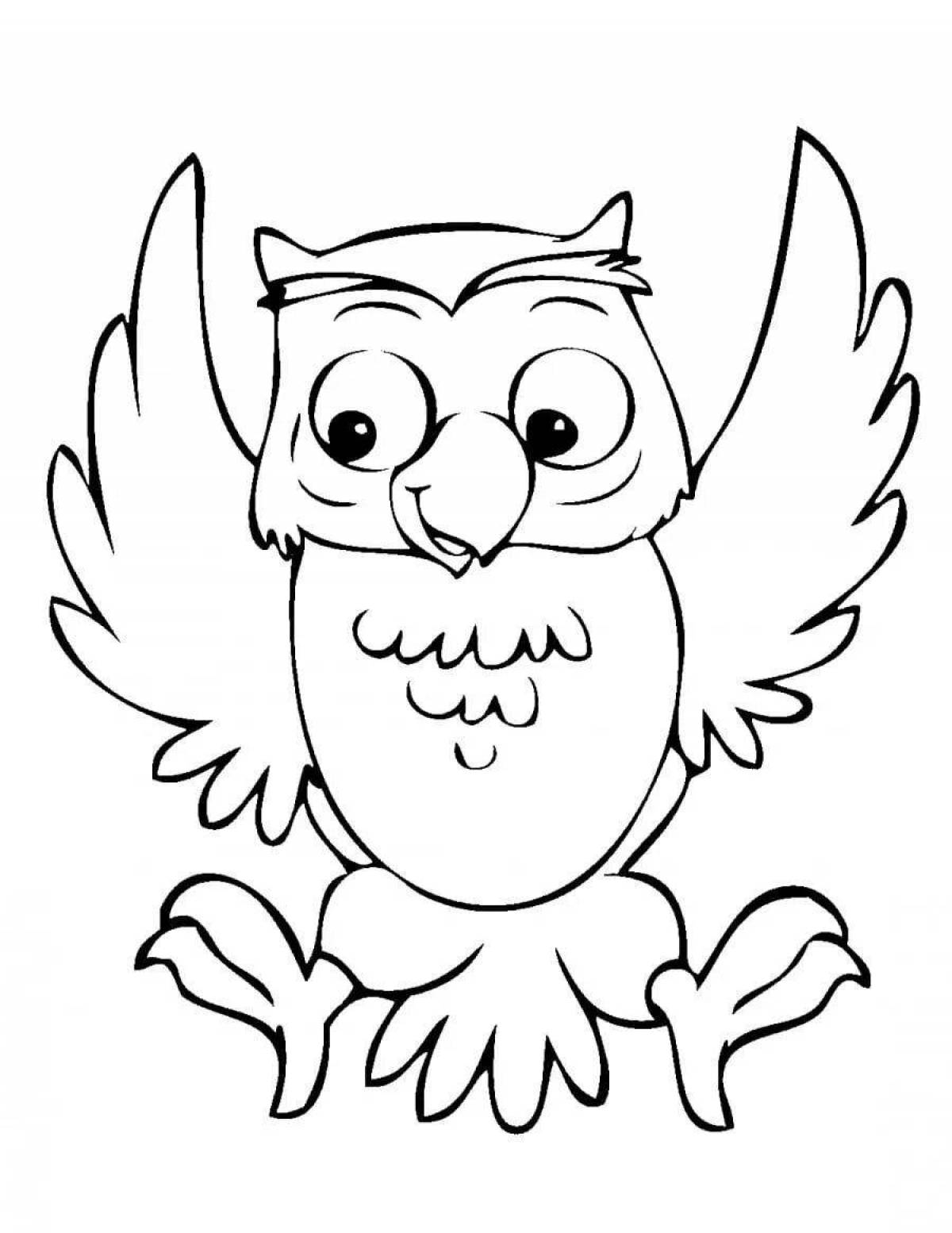 Owl picture #10