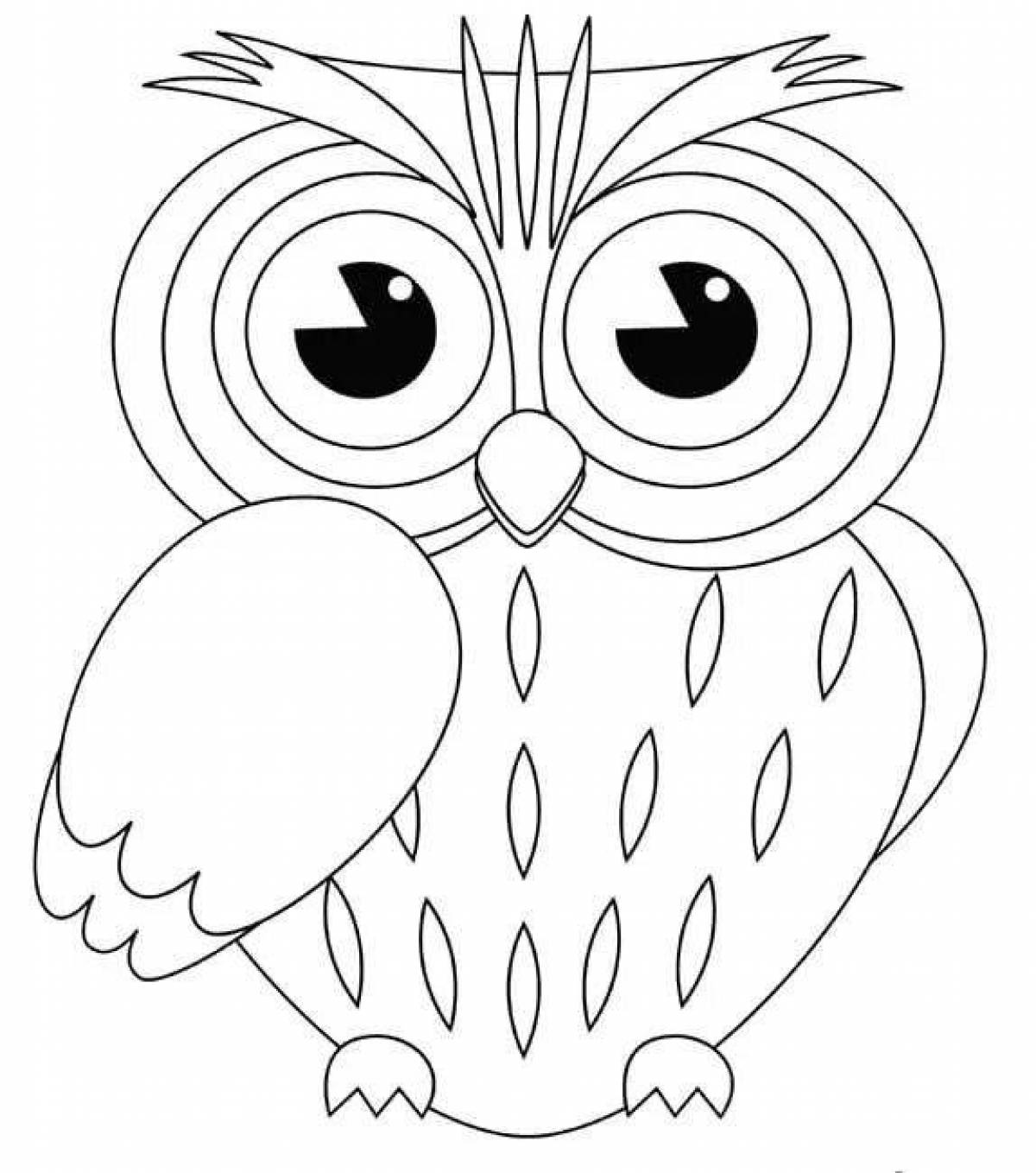 Owl picture #14