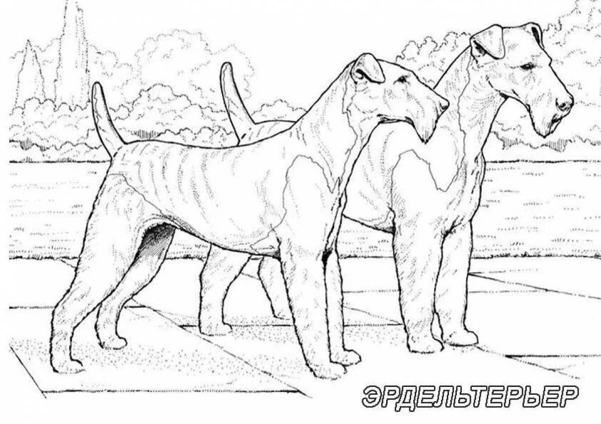 Adorable dog breed coloring book
