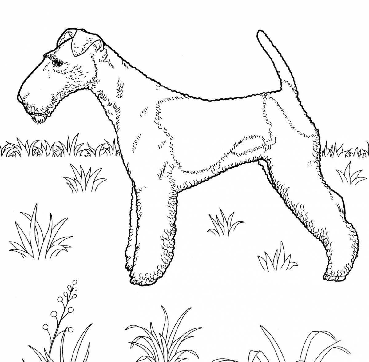 Furry dog ​​breed coloring book