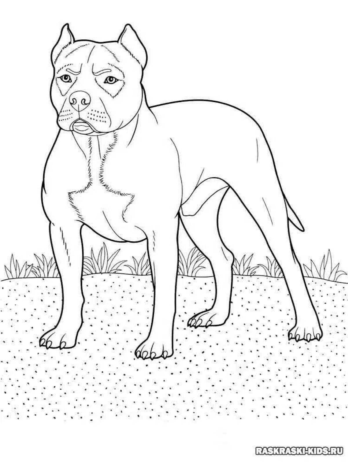 Energetic coloring of dog breeds