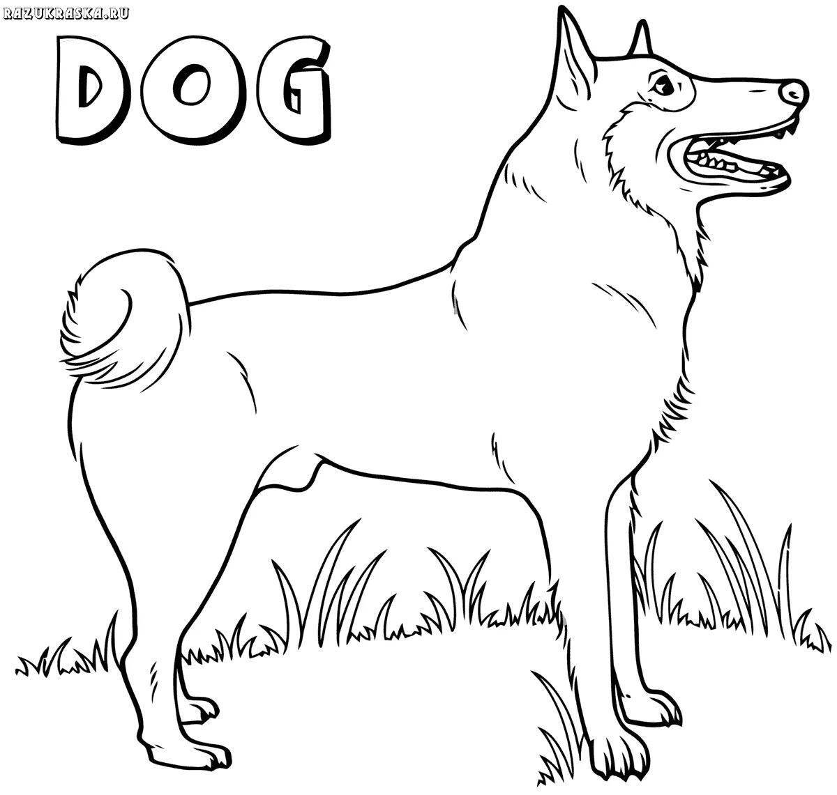 Friendly dog ​​breed coloring book