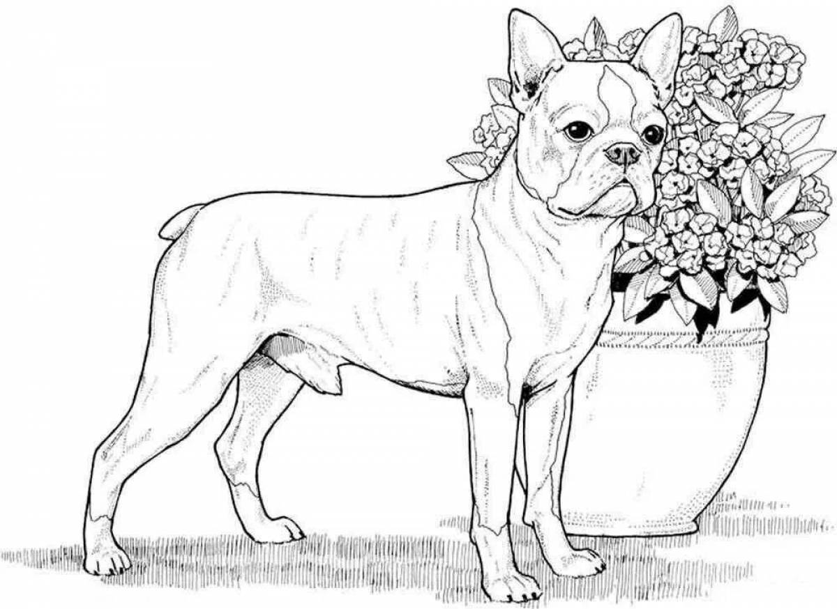 Brave dog breed coloring book