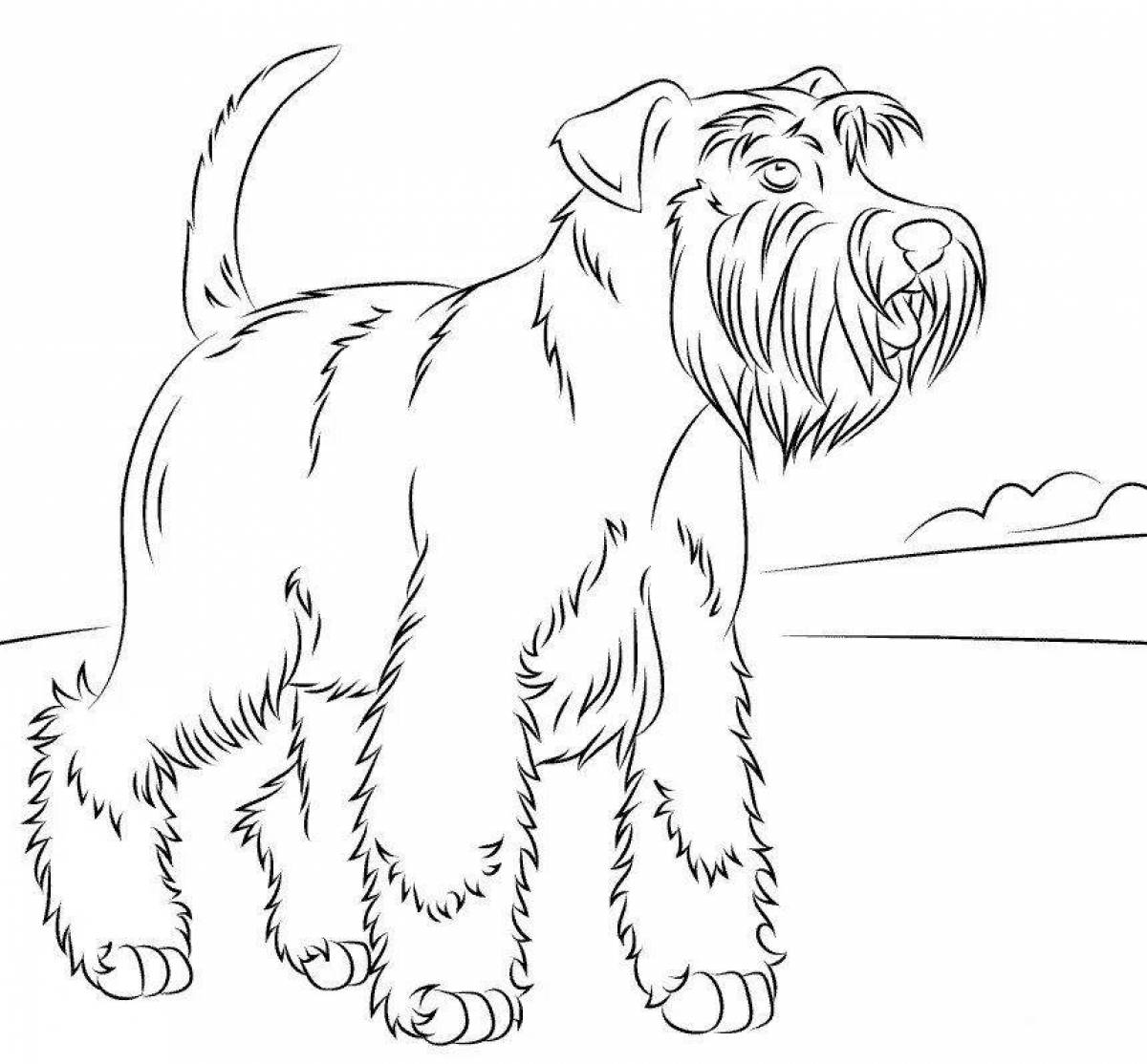 Naughty dog ​​breed coloring pages