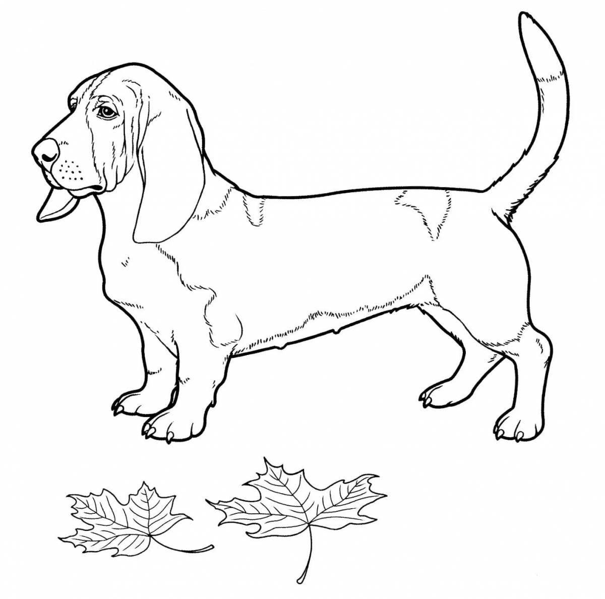 Loving dog breed coloring book