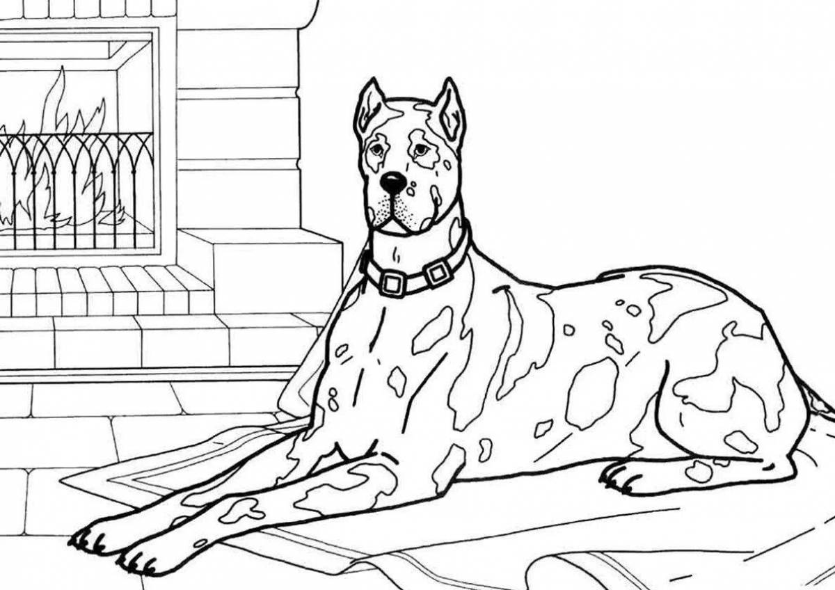 Alert dog breed coloring page