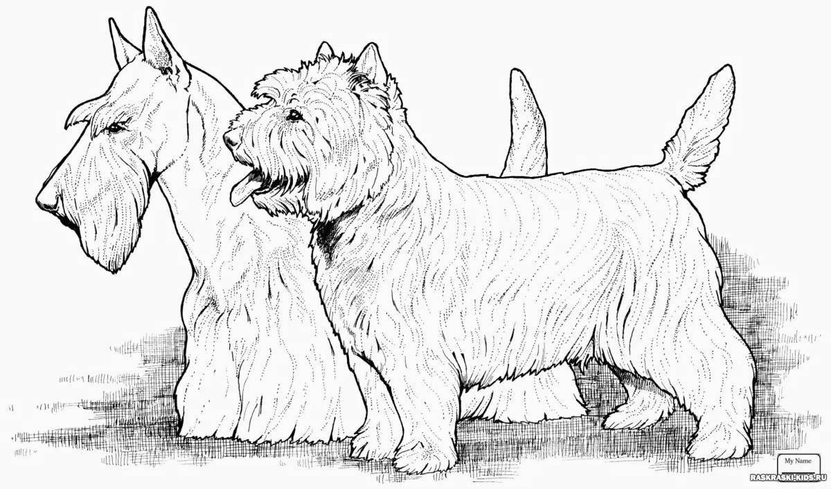 Courageous dog breed coloring pages