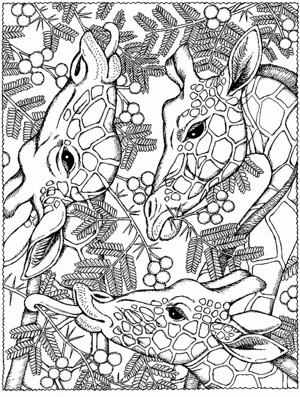 Creative coloring pages