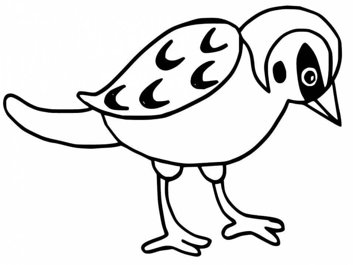 раскраска птицы воробей. синица раскраска для детей. воробей раскраска для детей. птичка раскраска для детей. раскраска воробей для детей 3 4 лет.