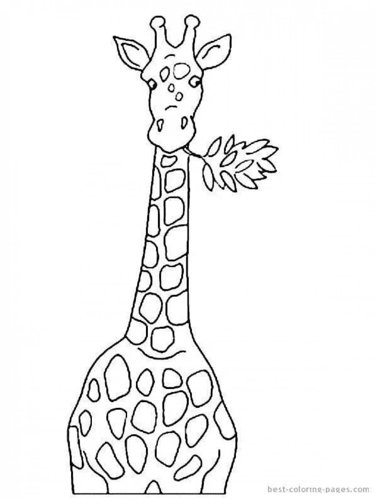 Картинки жирафа для детей раскраска