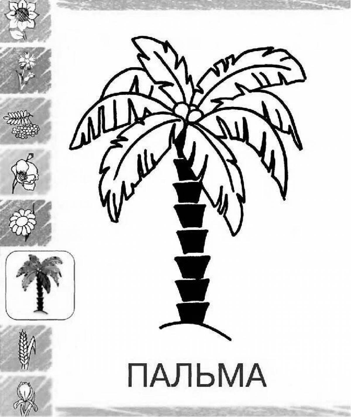 Amazing palm tree coloring page for kids