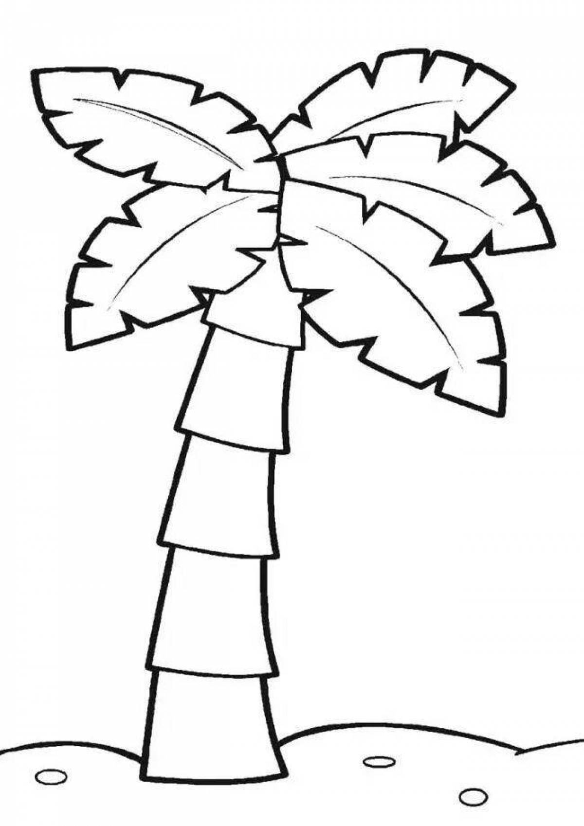 Adorable palm tree coloring book for kids
