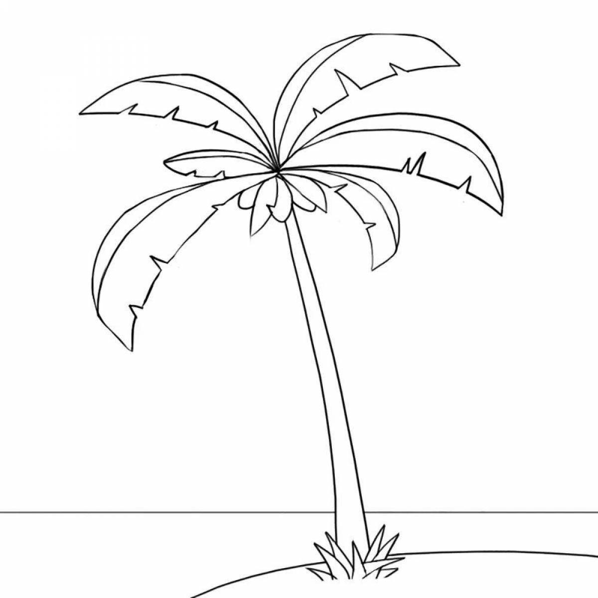 Amazing palm tree coloring book for kids