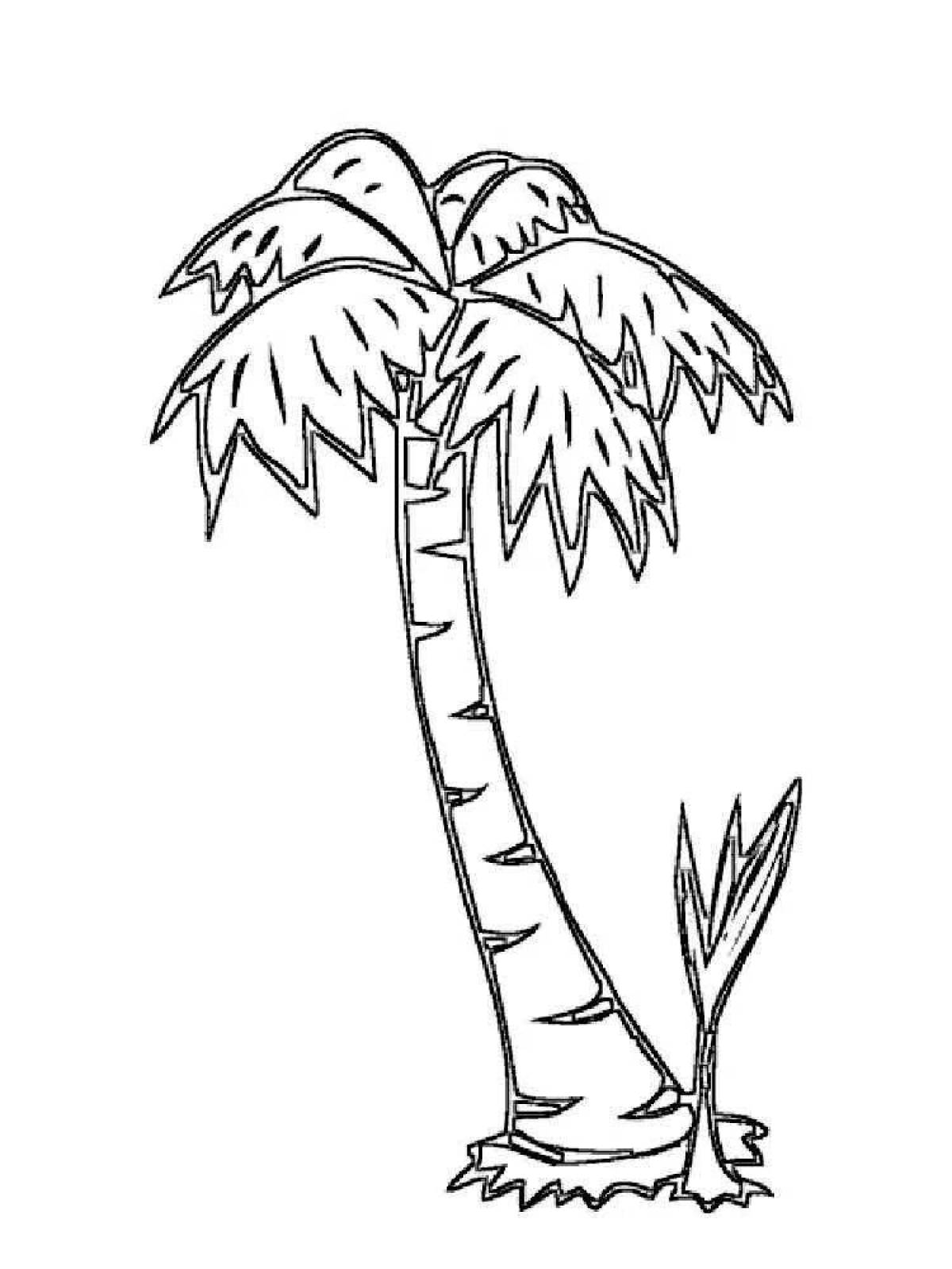 Exquisite palm tree coloring book for kids