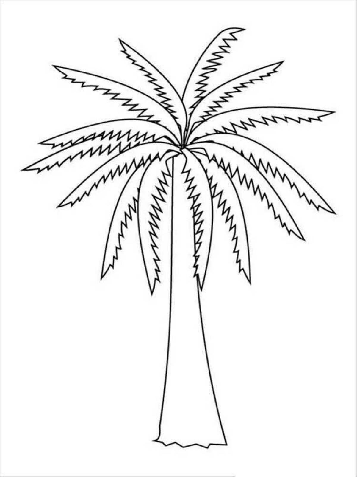 Раскраска элегантная пальма для детей