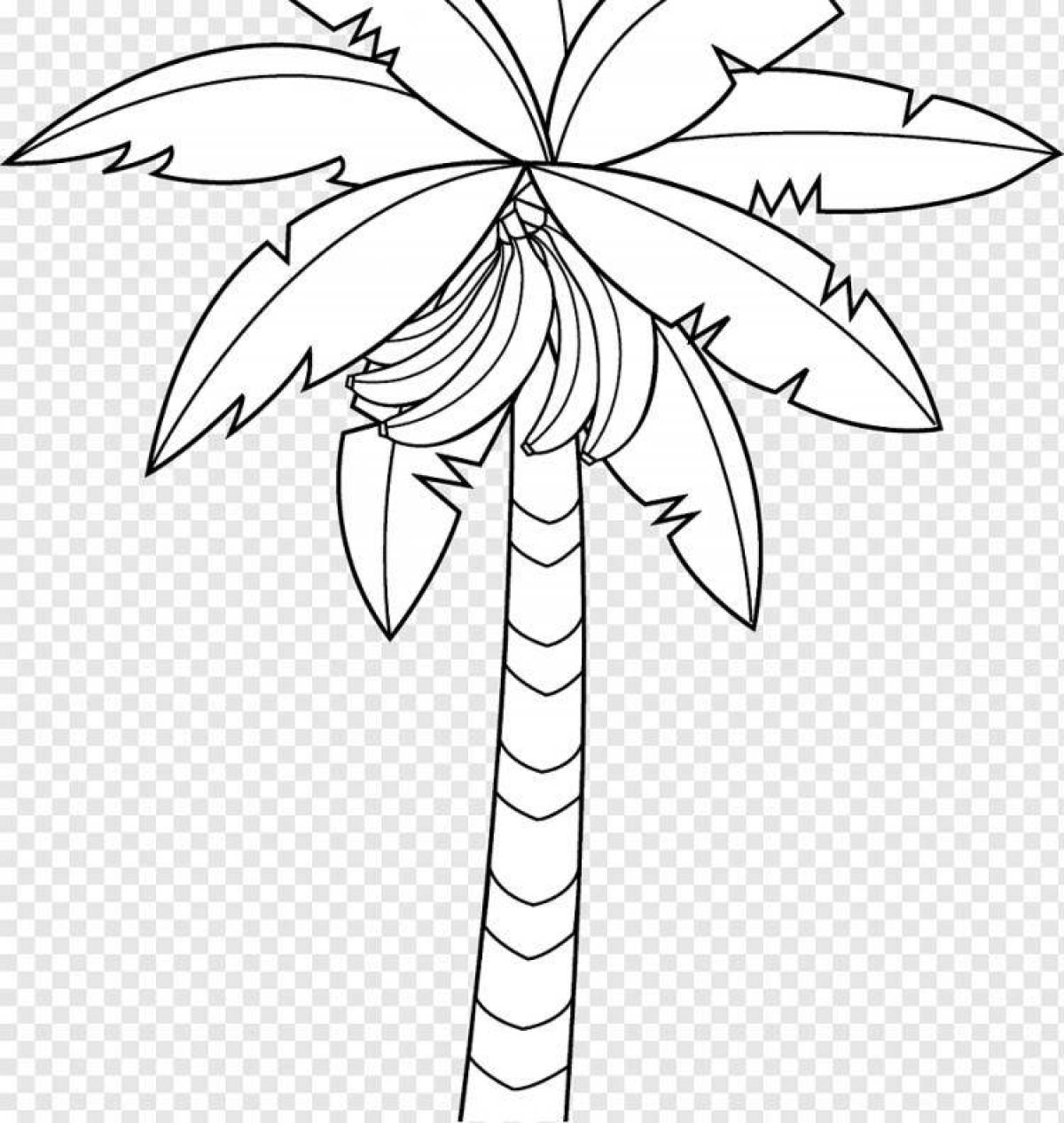 Fine palm tree coloring book for kids