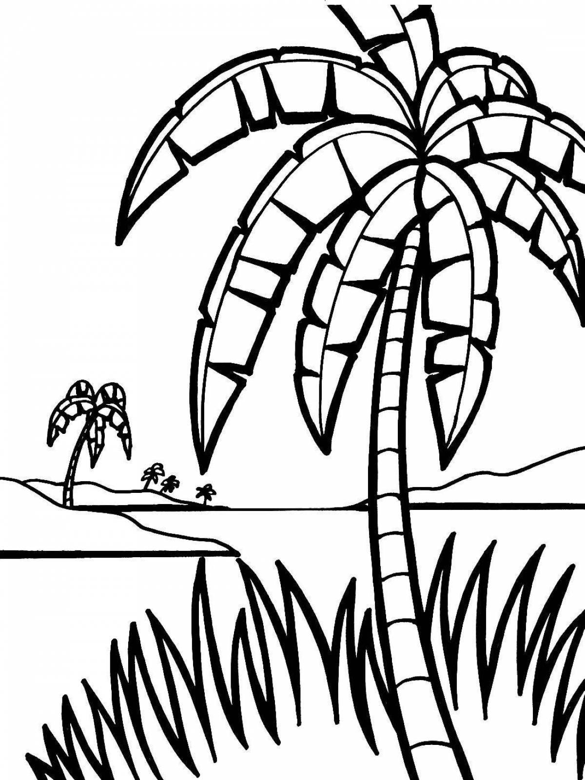 Stylish palm tree coloring for kids