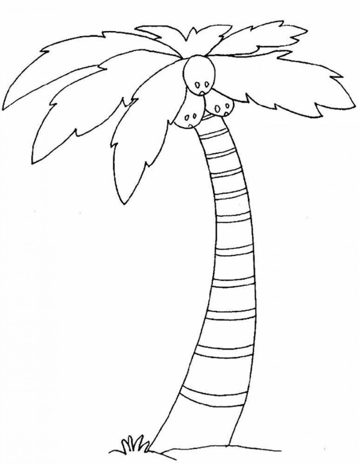Innovative palm tree coloring page for kids