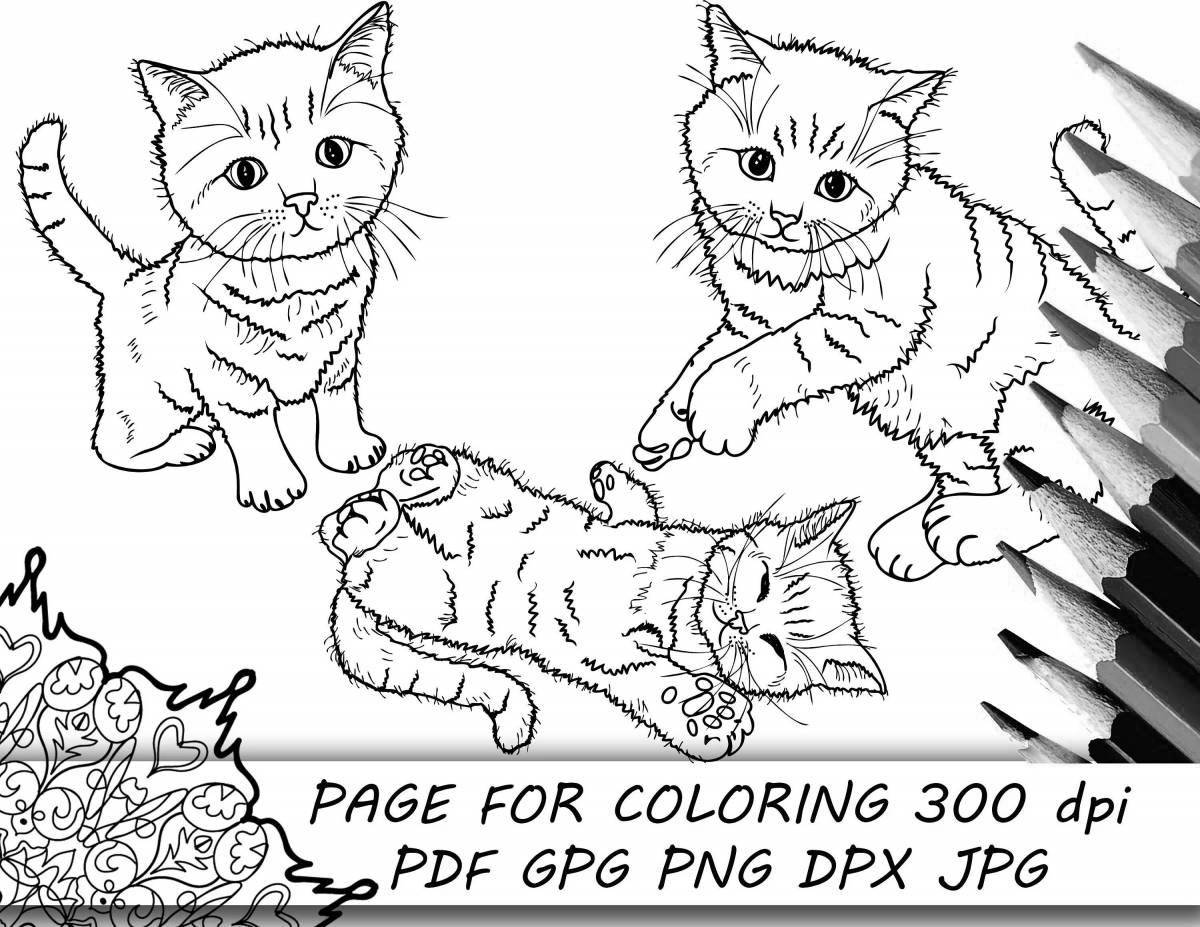 Glamorous cat coloring by numbers
