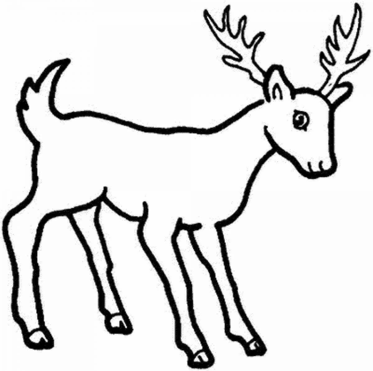 Coloring book playful deer for children