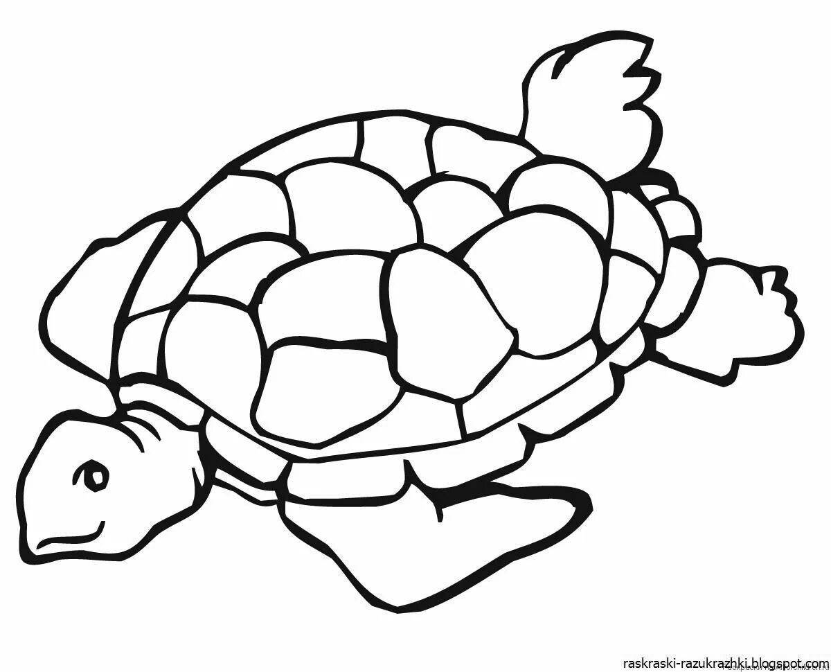 Забавная раскраска черепаха для детей