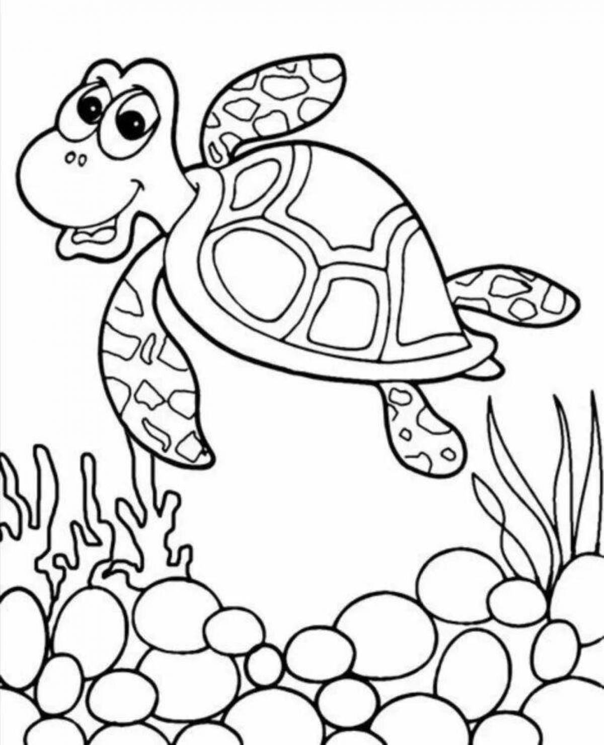 Coloured turtle coloring book for kids