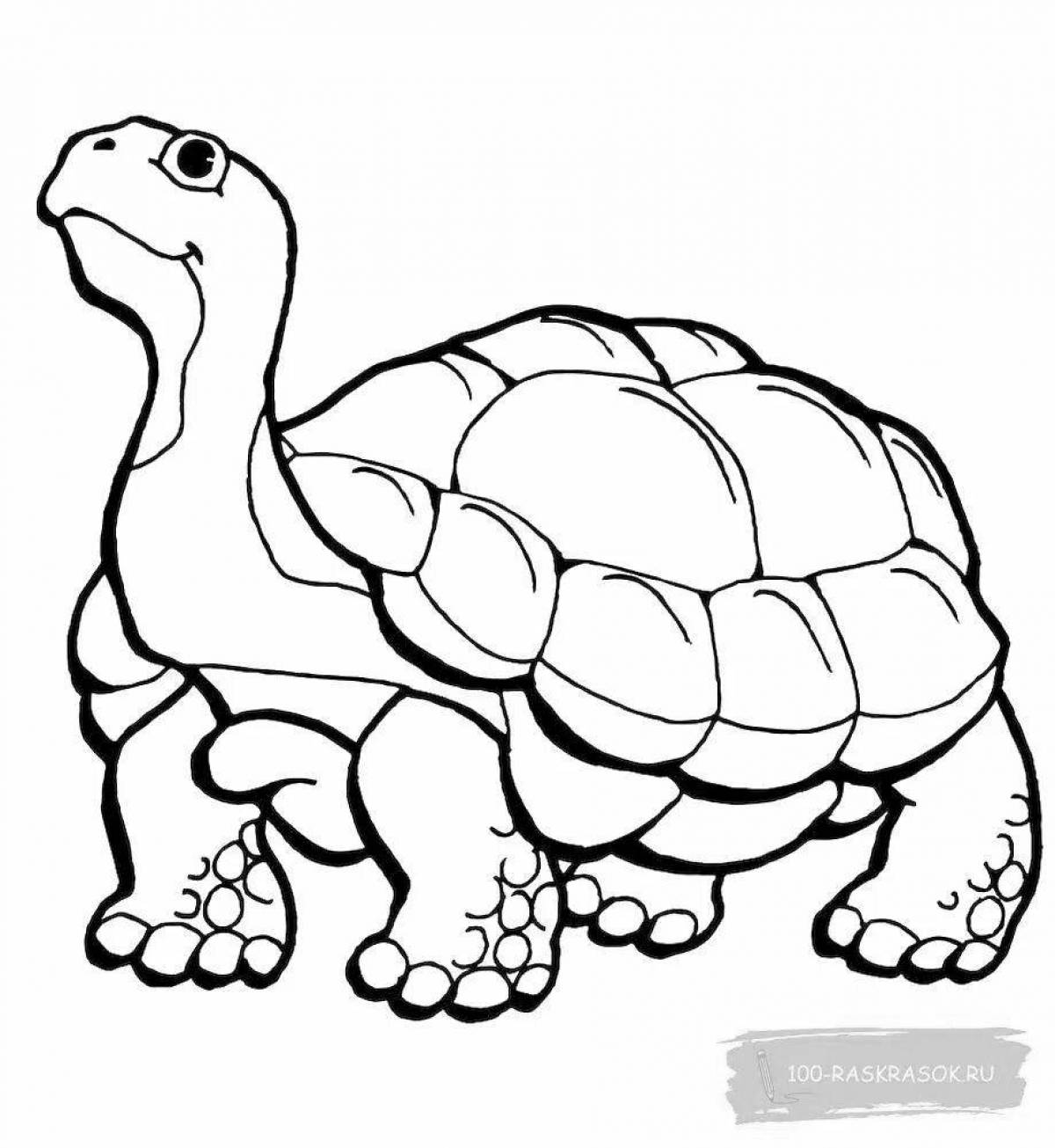 Раскраска черепаха с цветными брызгами для детей