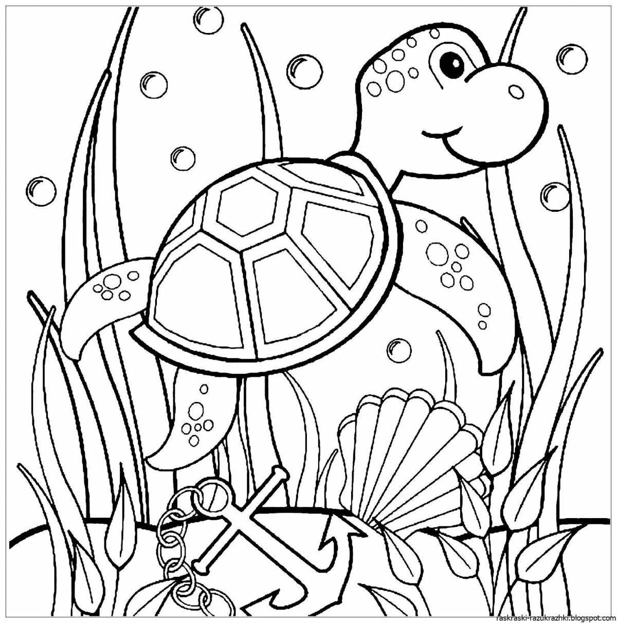 Coloring turtles for kids