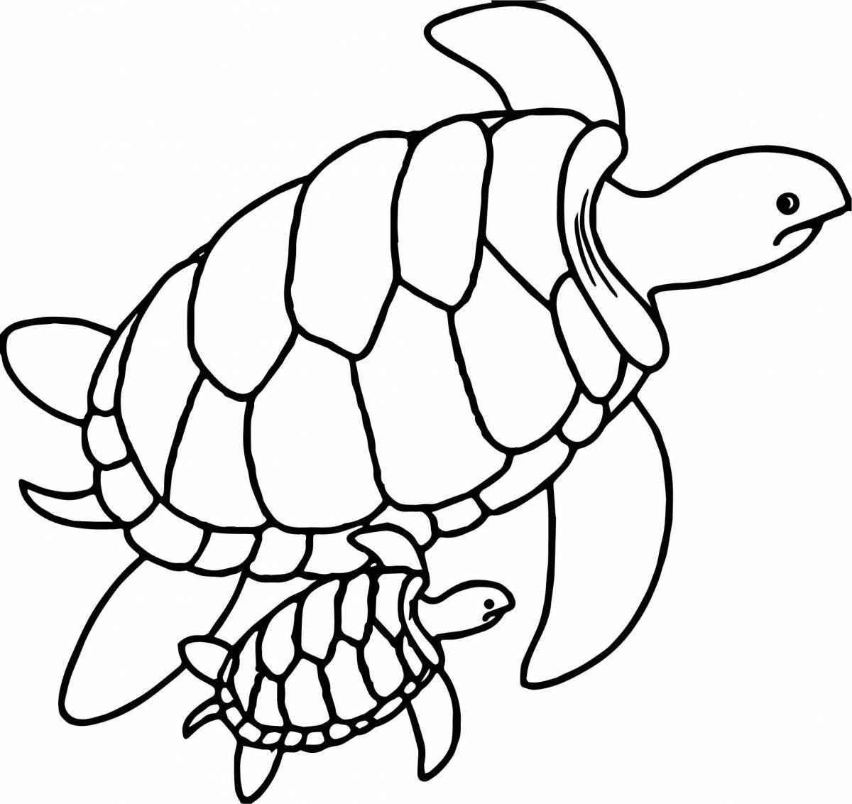 Цветная игривая черепаха раскраска для детей