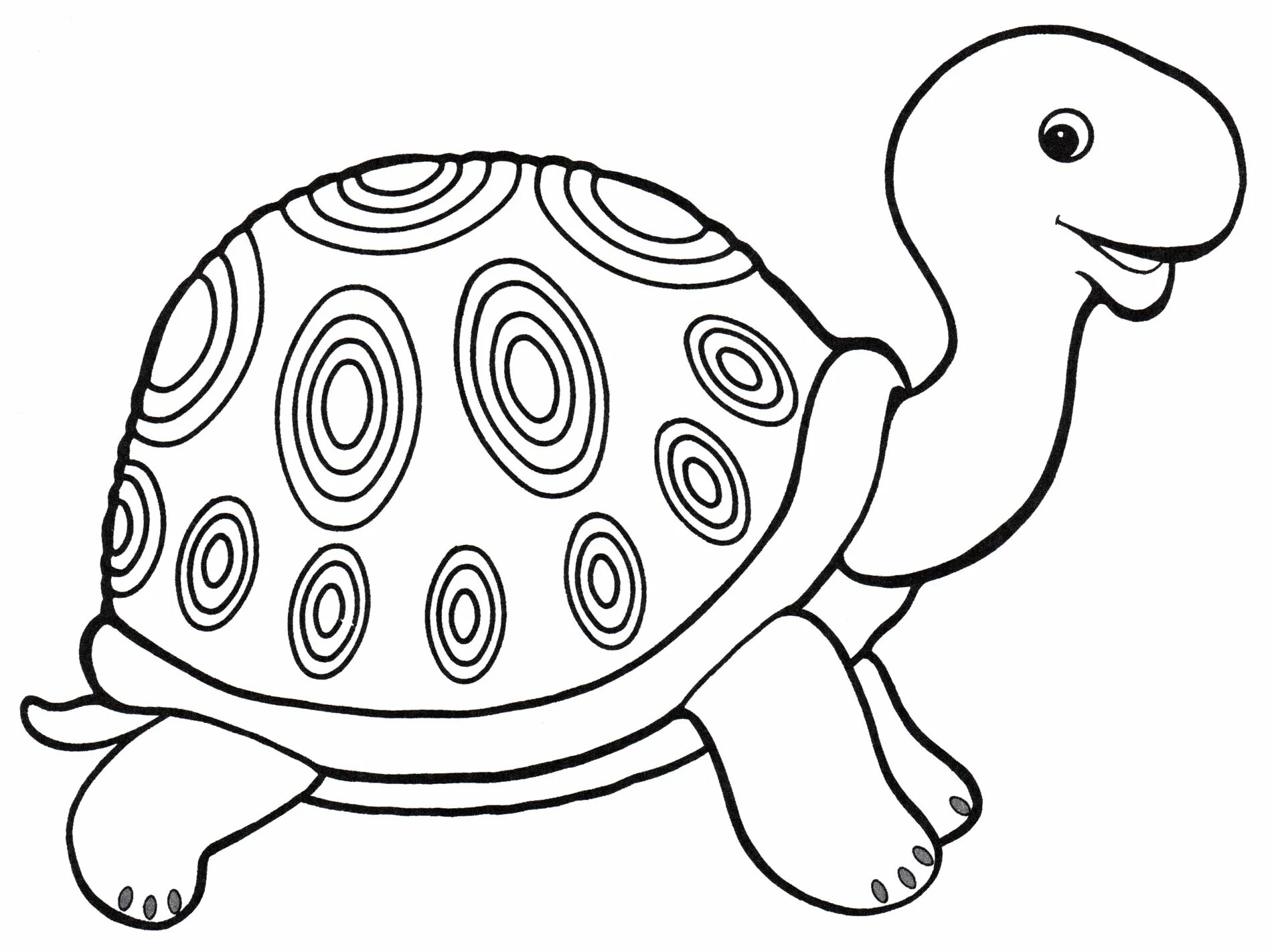 Черепаха для детей картинка #1