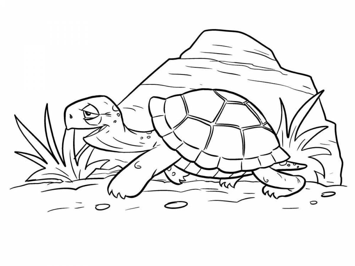 Черепаха для детей картинка #4