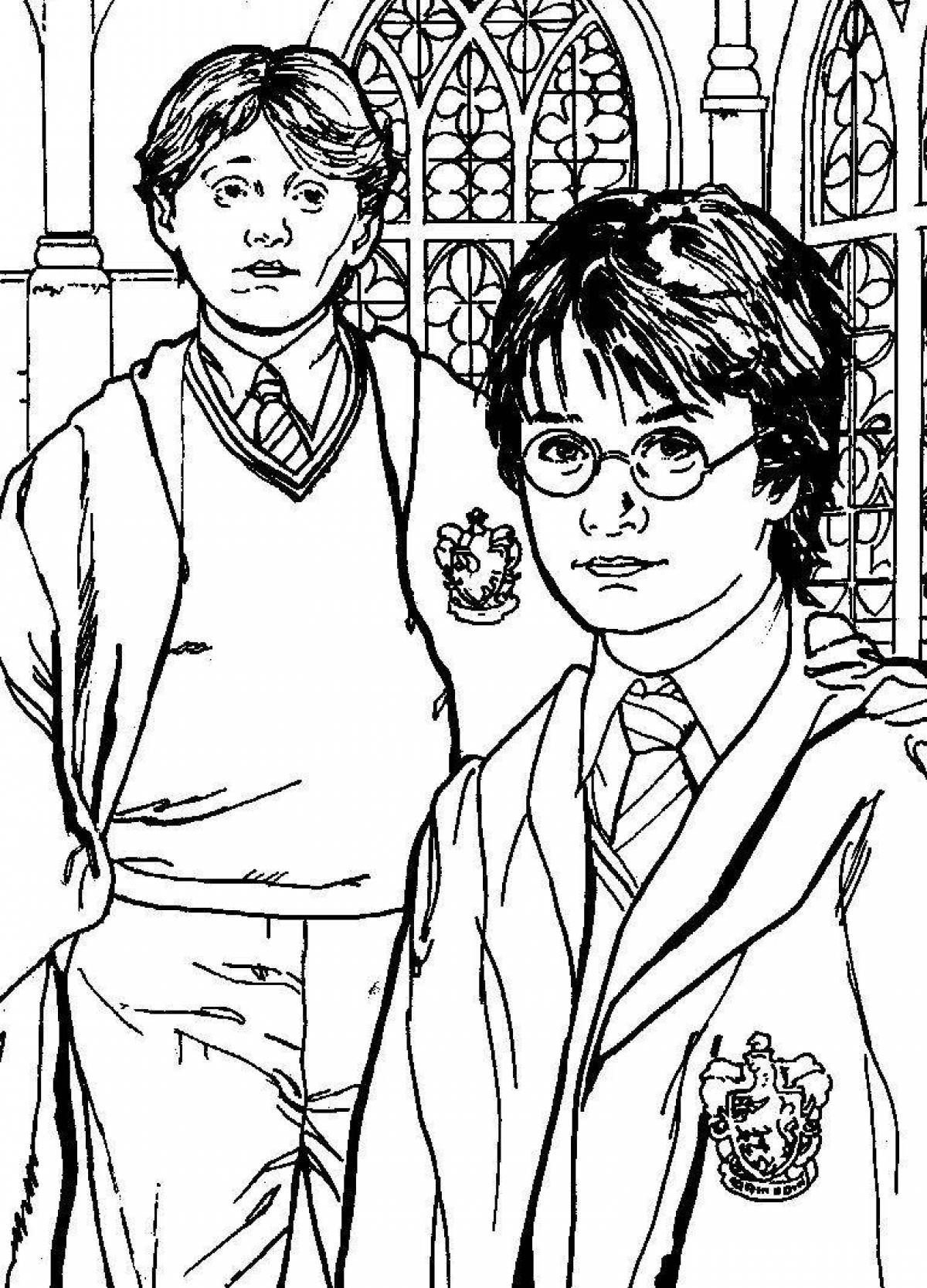 Attractive harry potter spiral coloring book