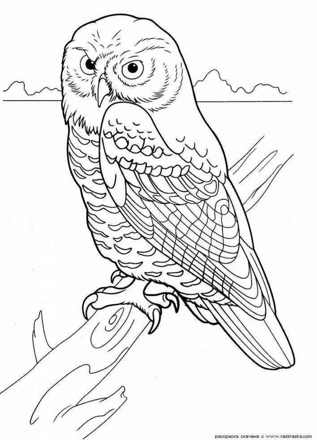 Majestic owl coloring book for kids