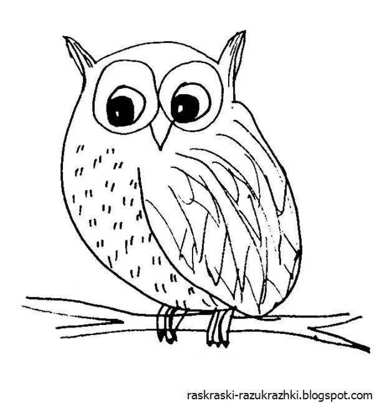 Gorgeous owl coloring book for kids