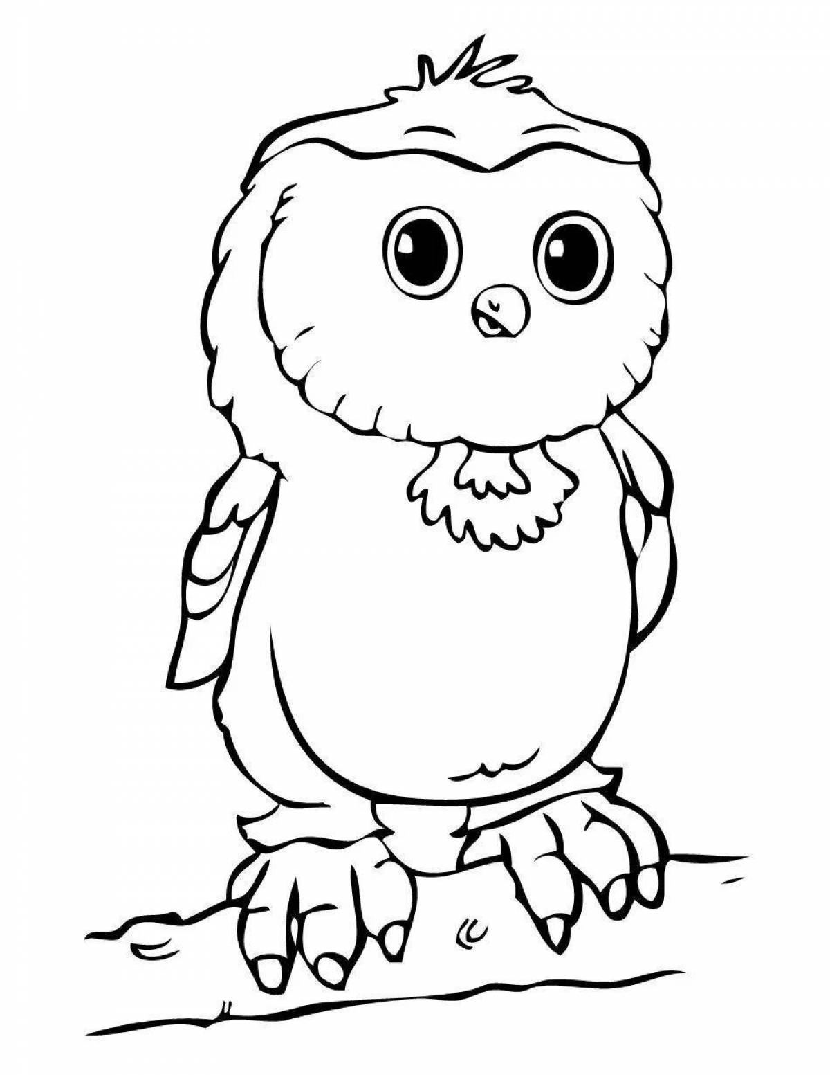 A funny owl coloring book for kids