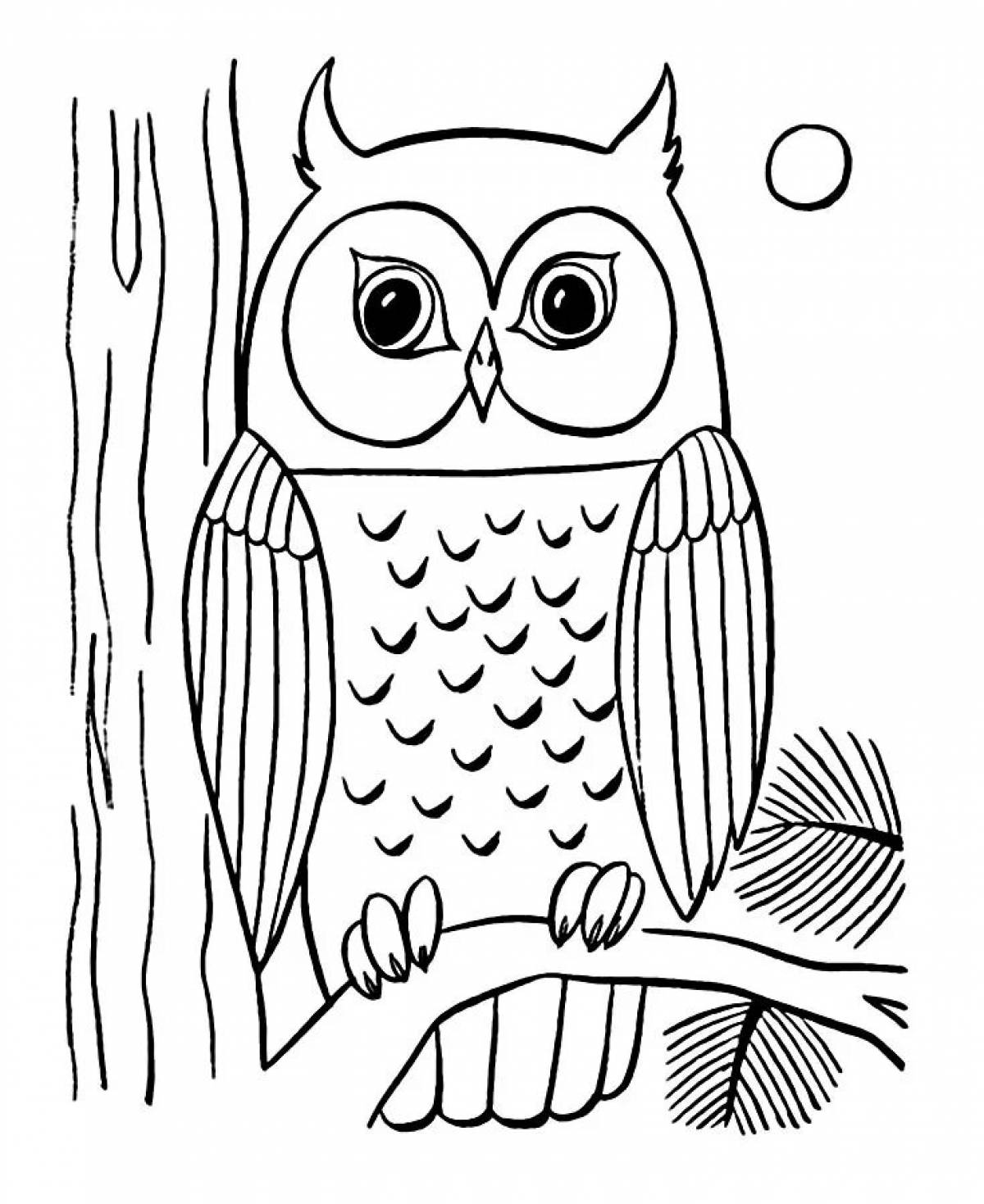 Owl picture for kids #5
