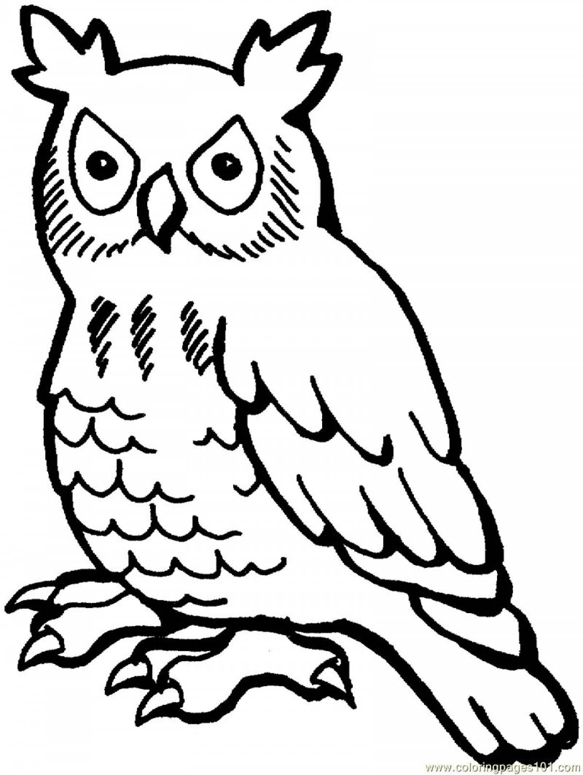 Owl picture for kids #6