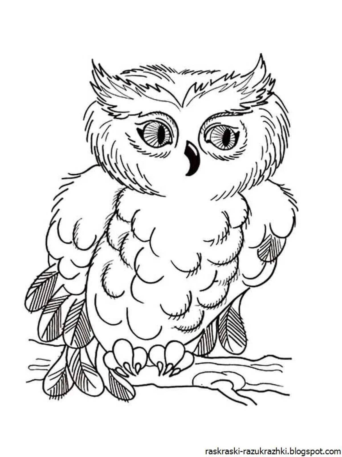 Owl picture for kids #7