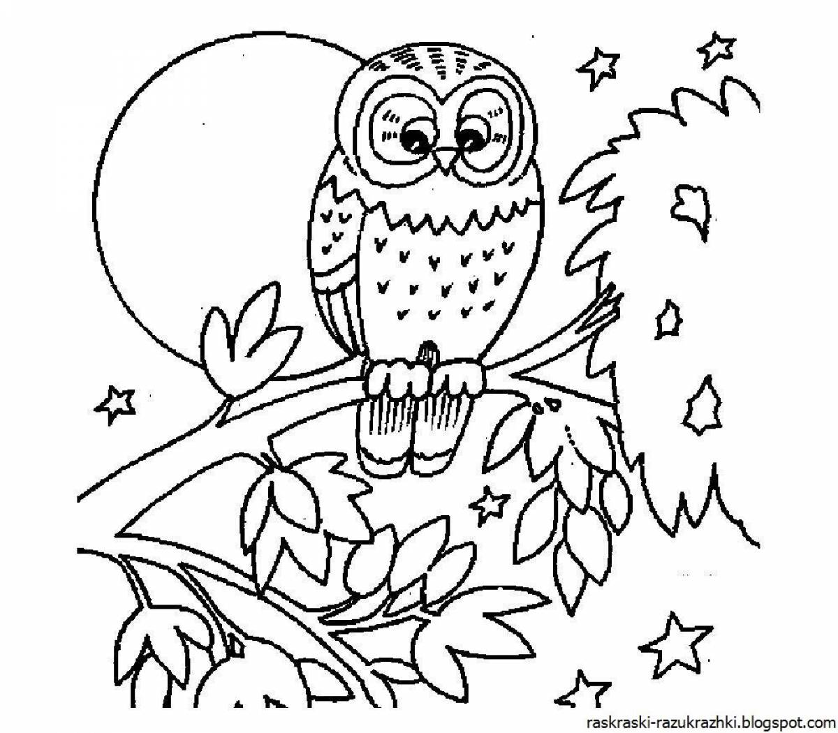 Owl picture for kids #8