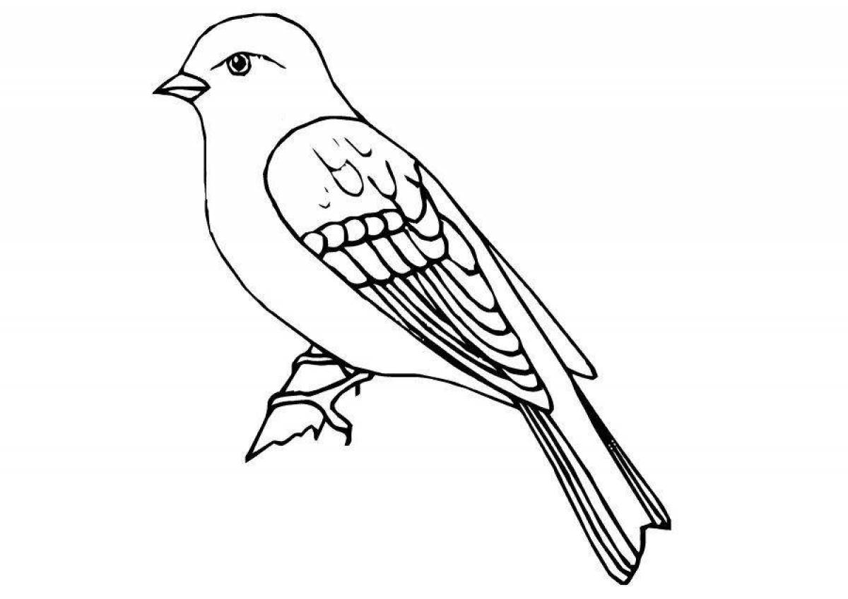 Coloring book gorgeous sparrow for 3-4 year olds