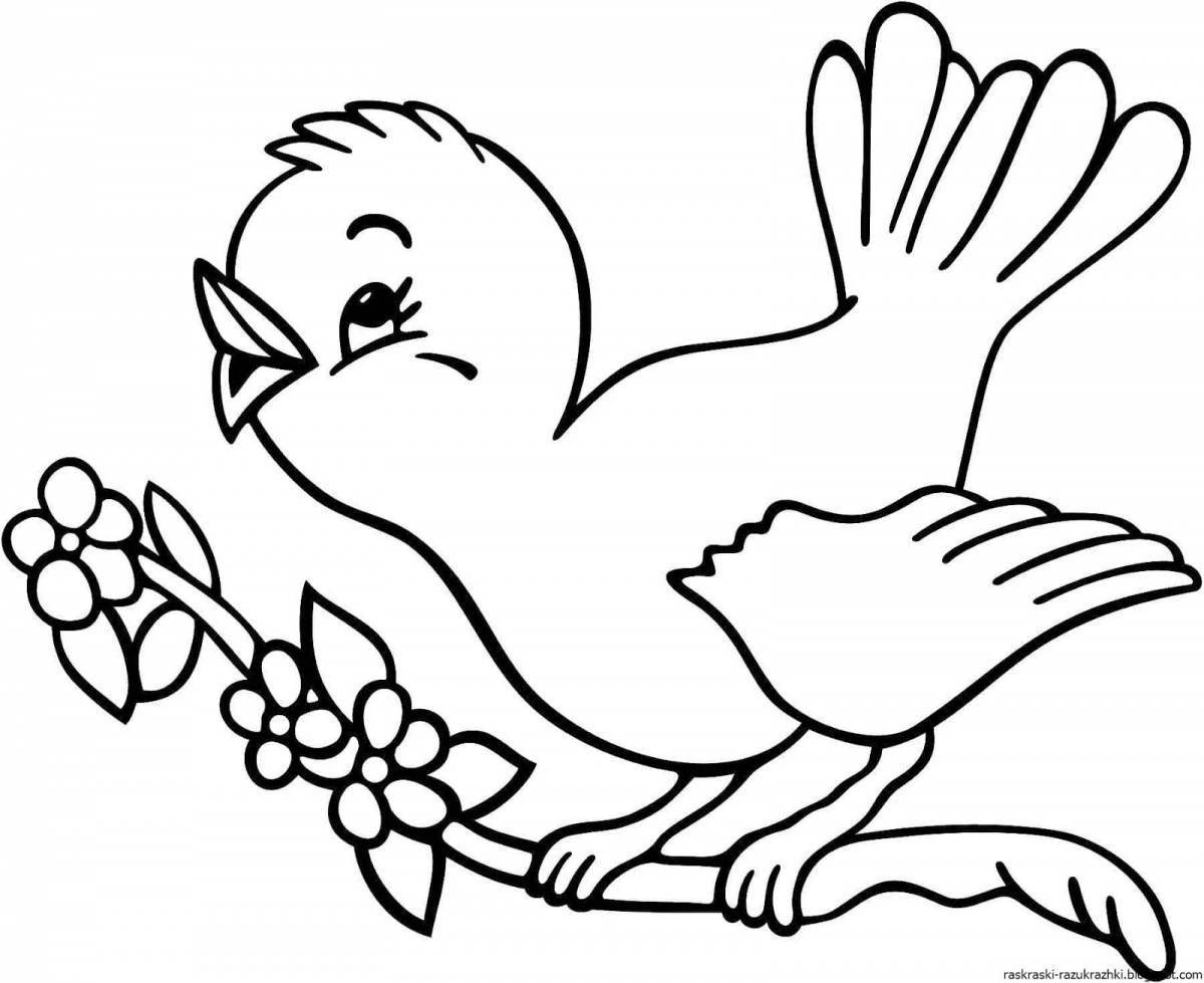 Impressive sparrow coloring book for 3-4 year olds