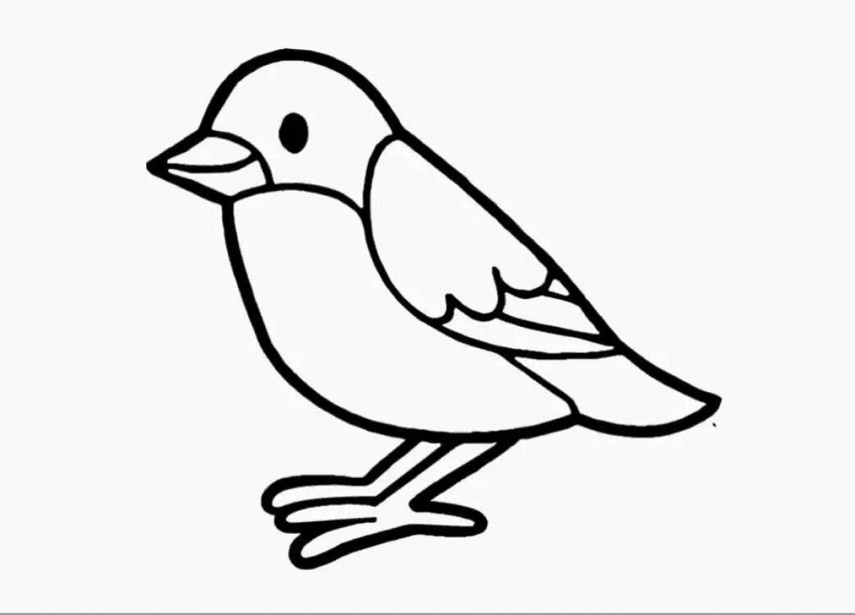 Amazing sparrow coloring book for kids 3-4 years old